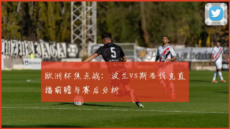 欧洲杯焦点战：波兰vs斯洛伐克直播前瞻与赛后分析