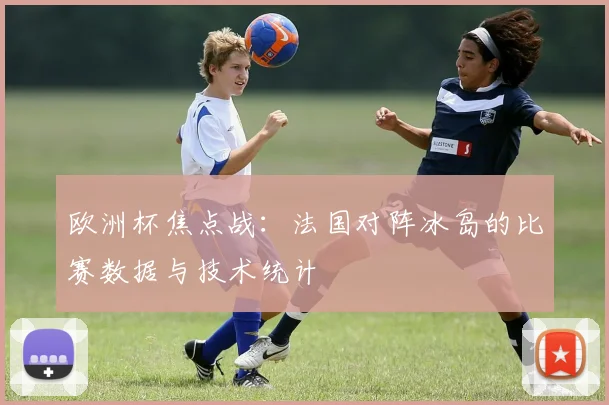 欧洲杯焦点战：法国对阵冰岛的比赛数据与技术统计